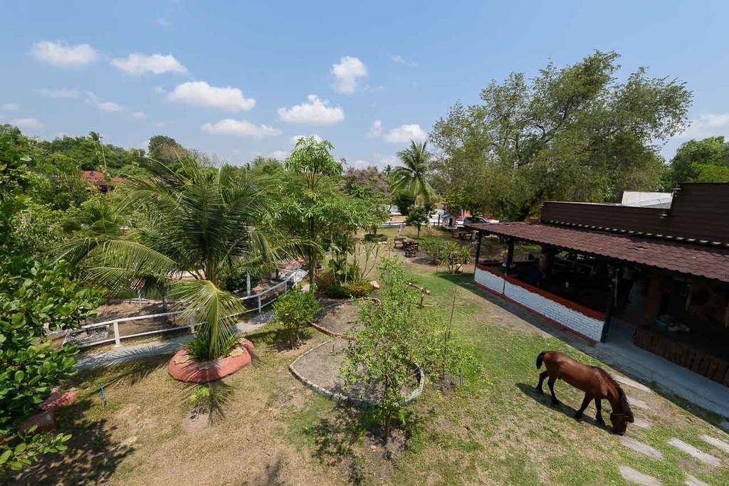 Cowboy Farm Resort Pattaya Ban Huai Yai Extérieur photo