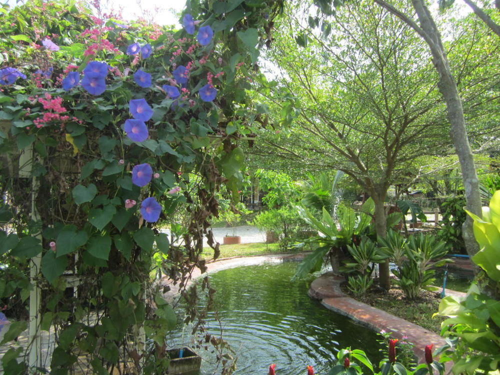 Cowboy Farm Resort Pattaya Ban Huai Yai Extérieur photo