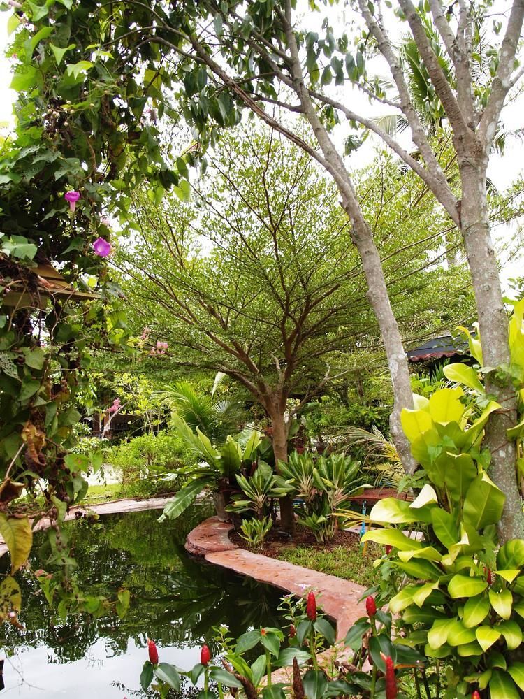 Cowboy Farm Resort Pattaya Ban Huai Yai Extérieur photo